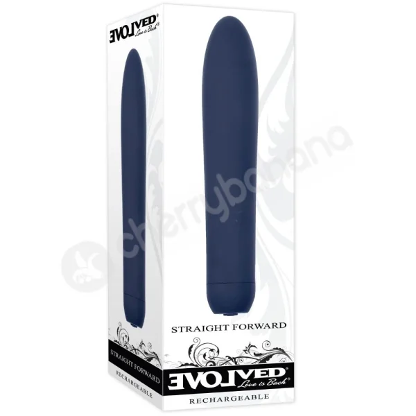 Evolved Straight Forward 10 Speed Rechargeable Vibrator