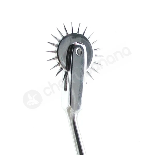 Kinklab Wartenberg Pinwheel
