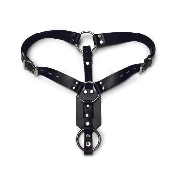 Kinklab Anal Plug Harness With Cock Ring — image 4 of 9