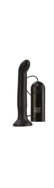 Dr. Joel EZ Reach Prostate Probe
