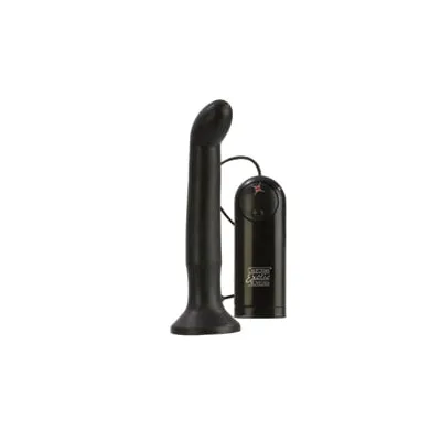 Dr Joel EZ Reach Prostate Probe
