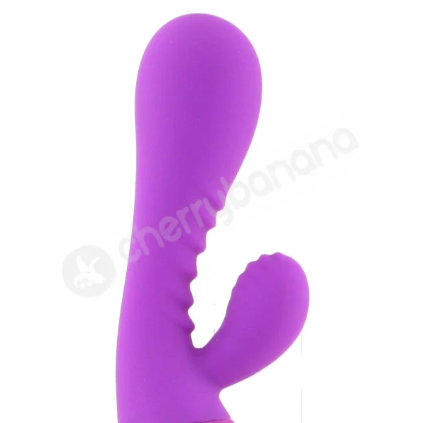 Alise 2 Purple Rechargeable Vibrator
