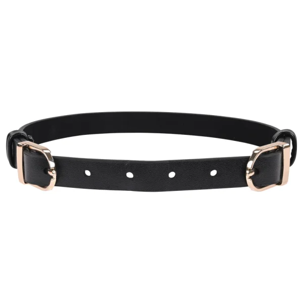 Sex & Mischief Double Buckle Day Collar By Sportsheets - Black & Gold