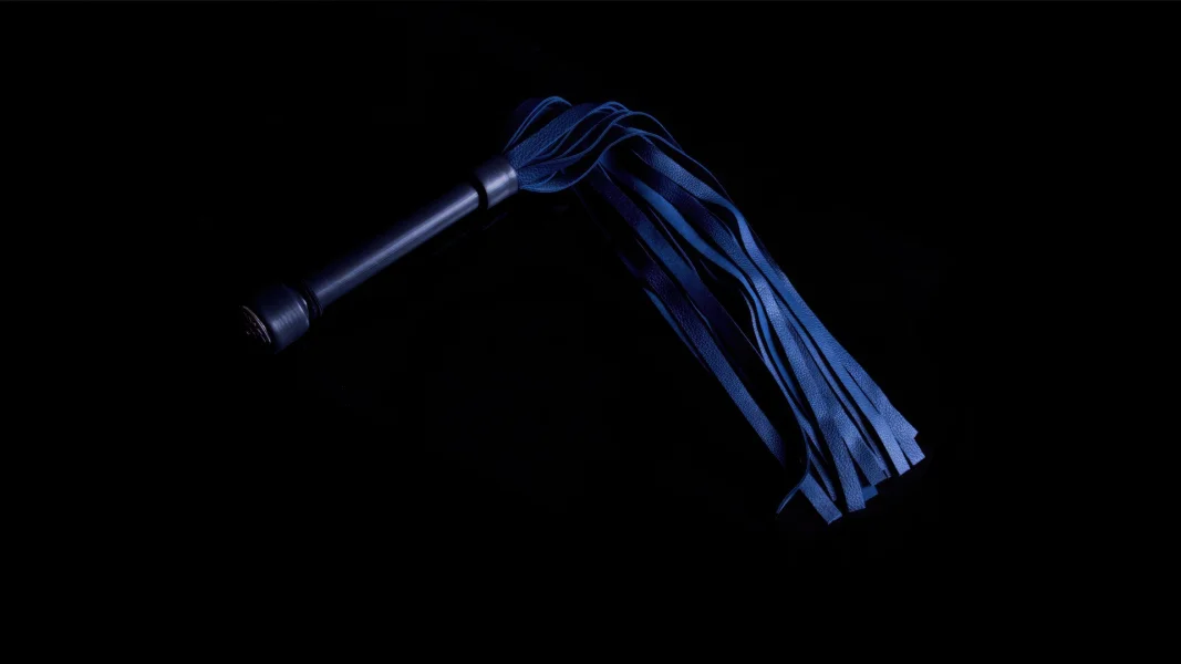 Dragontailz Intro Leather Flogger
