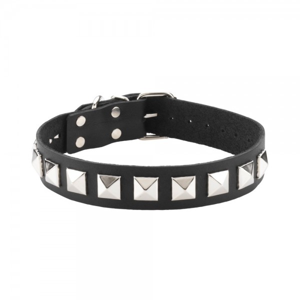 Leather Collar 1 Inch With Assorted Studs