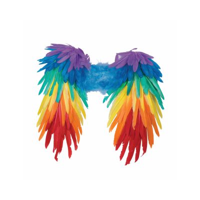 Rainbow Feather Wings