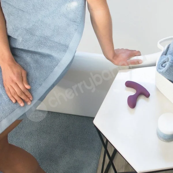Lora Dicarlo Tilt Purple Versatile Vibrating & Warming Plug Vibrator