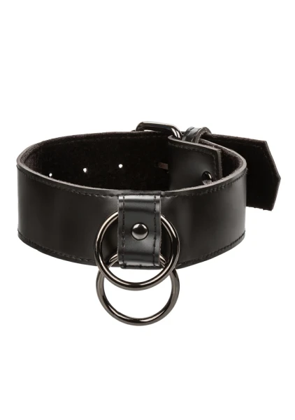Euphoria Collection Collar with Chain Leash