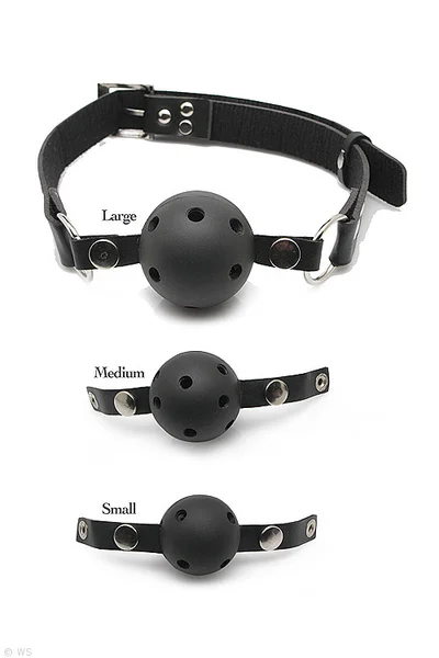 Pipedream Ball Gag Training System — image 8 of 8