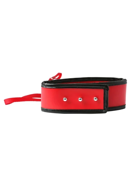 Sex & Mischief Leash and Collar
