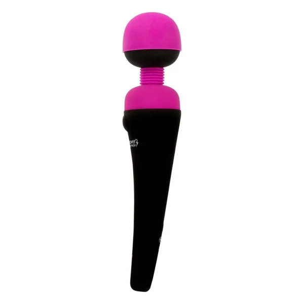 PalmPower Wand Massager