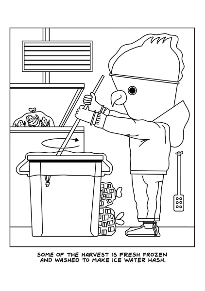 A Visit To The Cannabis Farm Coloring Book — image 4 of 8