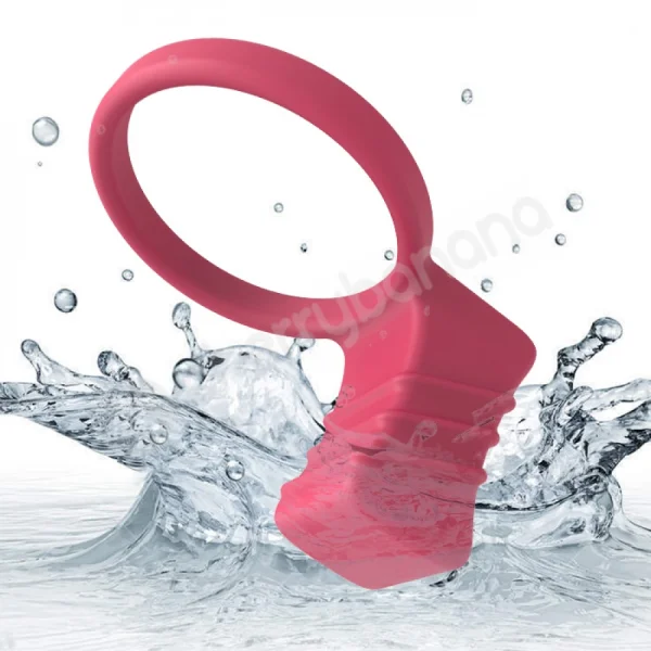 Love Romance Vibrating Cock Ring