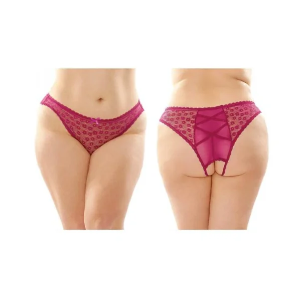 Daisy Crotchless Lace And Mesh Panty With Criss-cross Panel Back 6-pack Q/s Berry