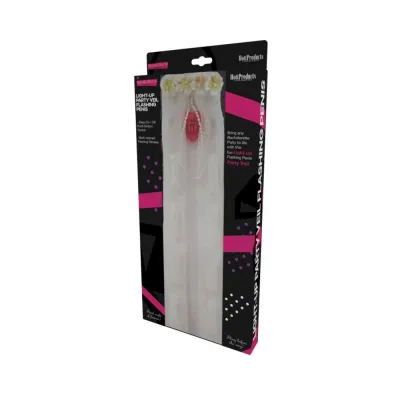 Bachelorette party veil