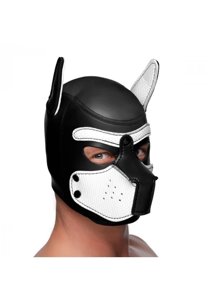 Spike Neoprene Puppy Hood