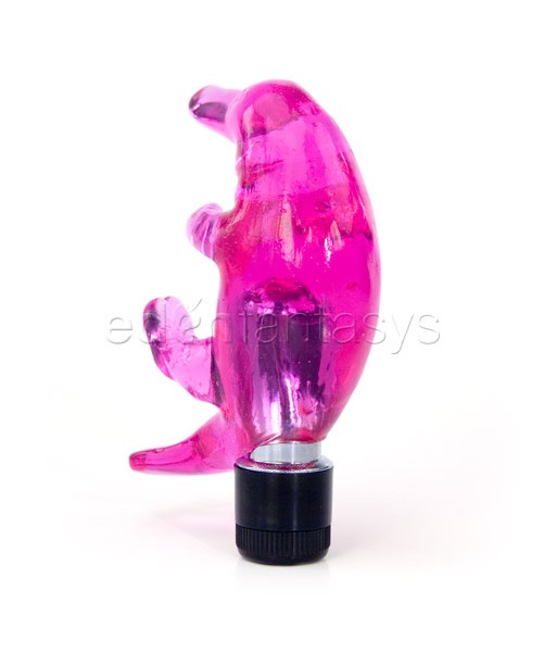 Tiny teasers platypus