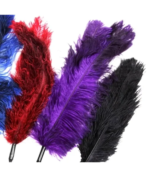 Sportsheets - Ostrich Tickler - Purple