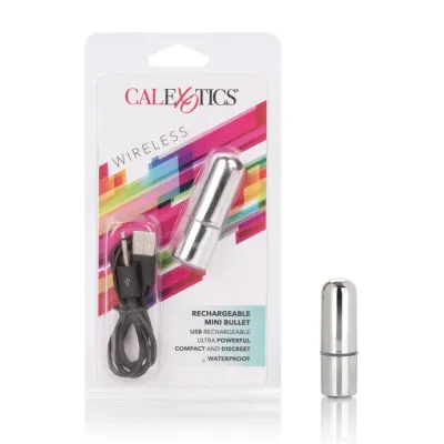 Rechargeable Mini Bullet Vibrator Silver 2 5 Inch