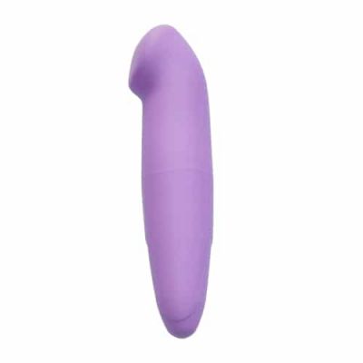Loving Joy Mini G Spot Vibrator Purple