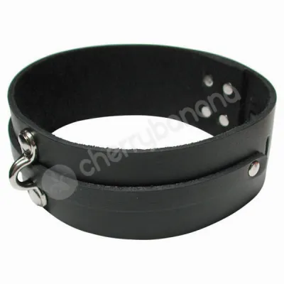Kinklab Bondage Basics Black Leather Collar