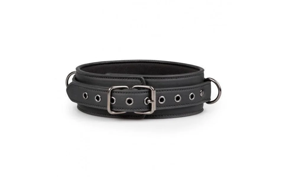 Vegan Collar & Lead — image 8 of 12