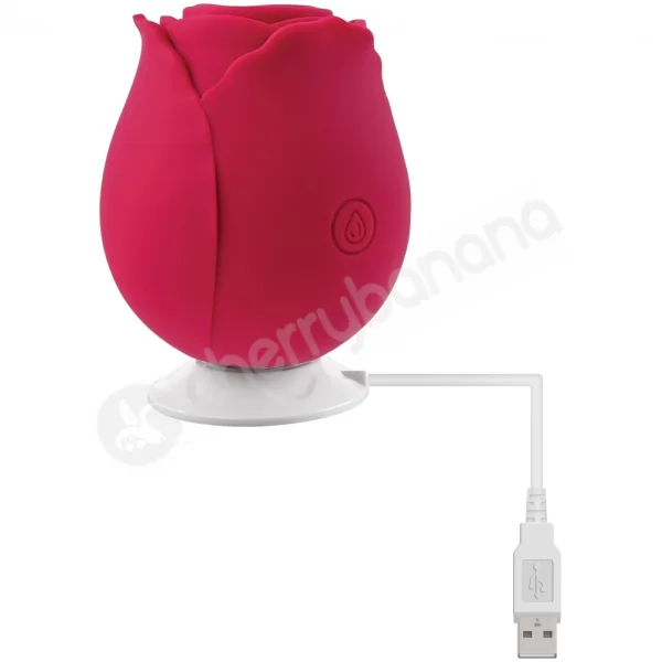 Cherry Banana Red Rose 10 Function Clitoral Suction Toy