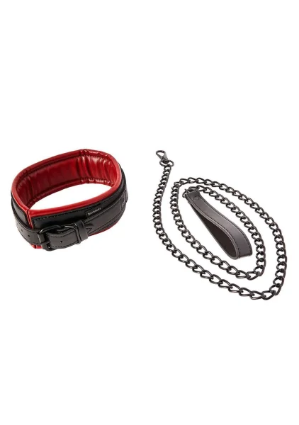 Saffron Collar and Leash