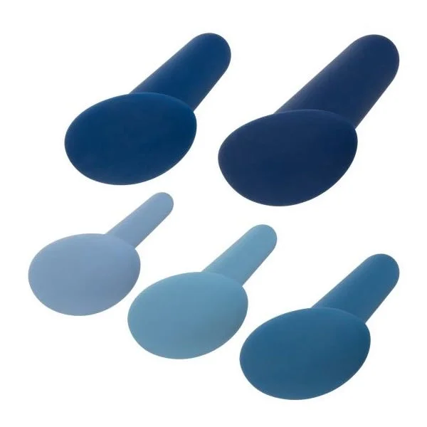 They-Ology 5 Piece Wearable Anal Training Set