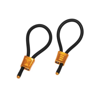 Electraloops Prestige