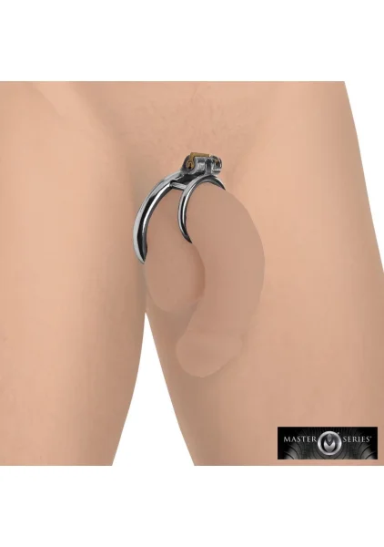 Master Series Stainless Steel Locked Cock & Ball Ring