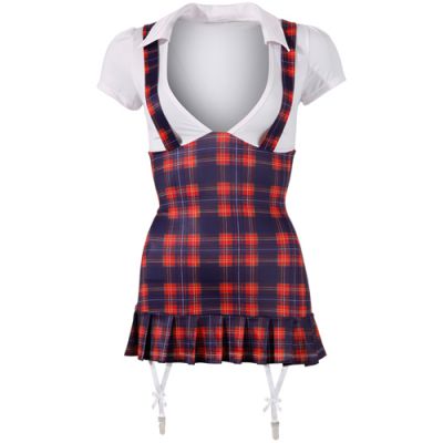 Sexy School Girl Costume Small
