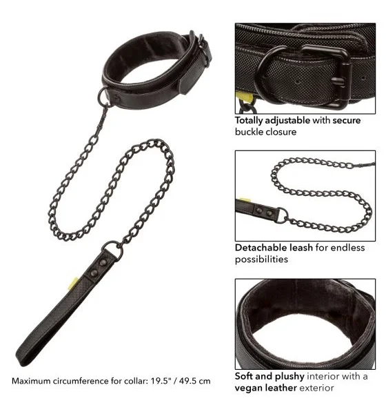 Boundless Collar & Leash