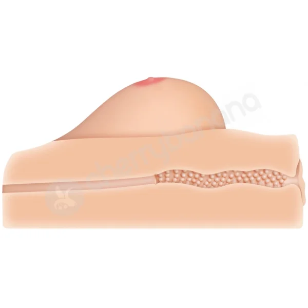 Kendra Lust - Life Size Breast Stroker with Vagina