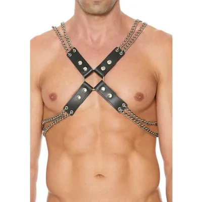 Chain And Chain Harness