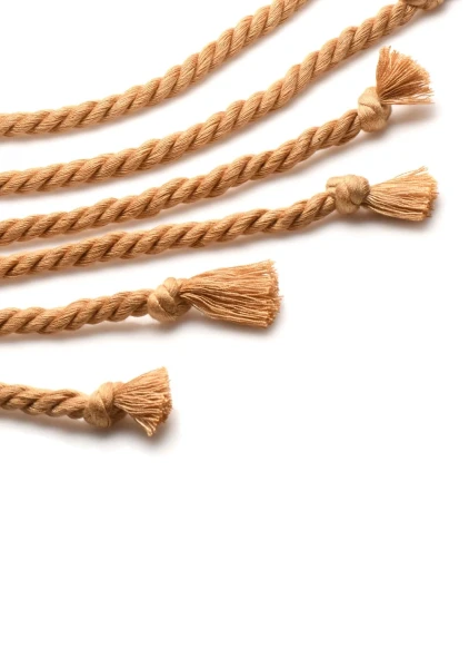 Swashbuckler Rope Flogger