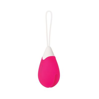 Evolved Rechargeable Egg R c Silicone Pink