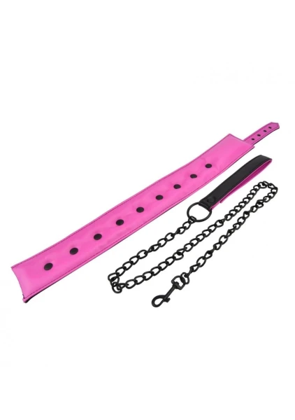 Fishnet Collar and Leash