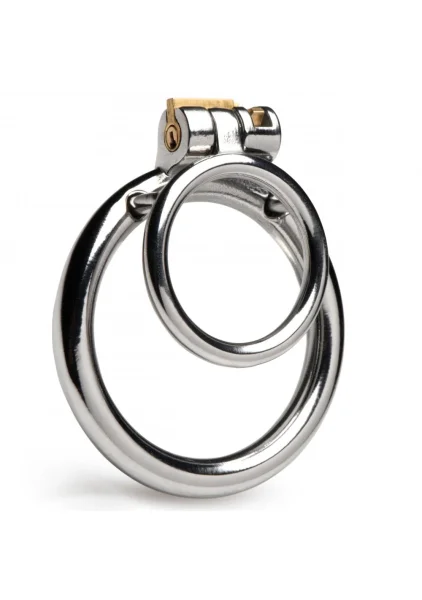 Master Series Stainless Steel Locked Cock & Ball Ring