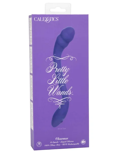 Pretty Little Wands Charmer
