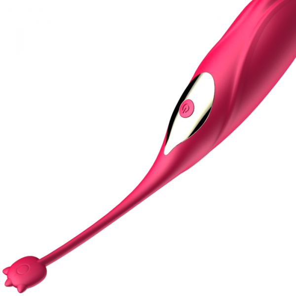 Wireless Remote Control Vibrating Egg