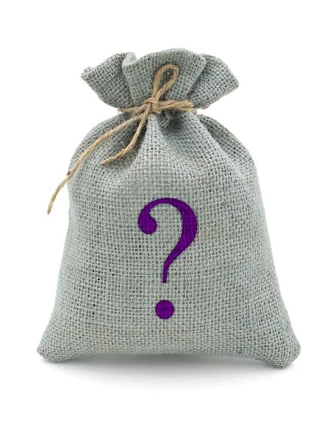 Mystery Bag - Rabbit Vibrator