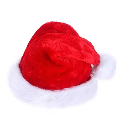 Santa s hat