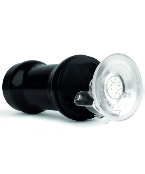 Angel Long Porn Star Pussy