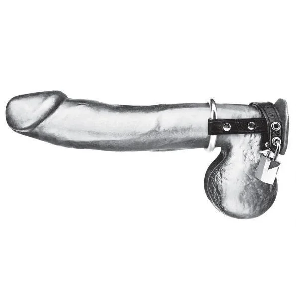 C & B Gear Duo Cock And Ball Lock Black