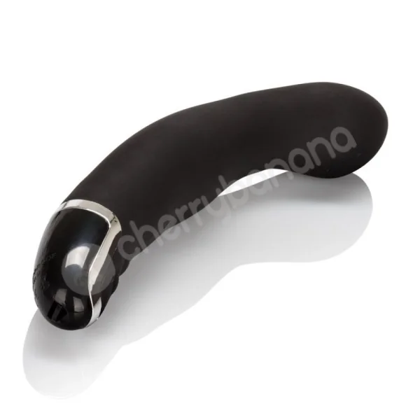 Dr. Joel Kaplan Black Silicone Smooth P Vibrator