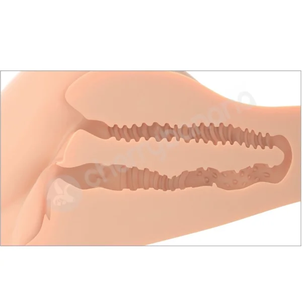 PDX Plus 360° Banger Light Realistic Any Position Masturbator