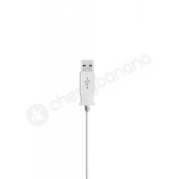 iSex USB Kegel Balls