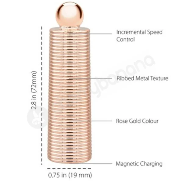 Pillow Talk Secrets Desires 6 Piece Mini Massage Vibrator Set