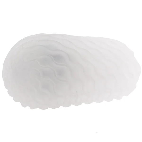 Boundless Reversible Squishy Ball Stroker